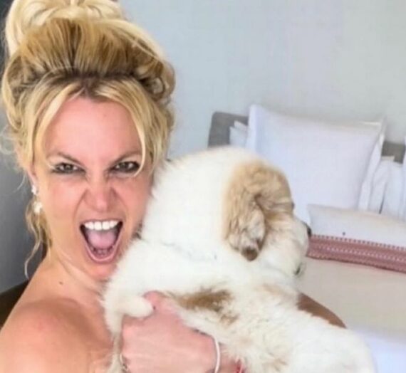 Britney Spears enceinte confond les fans alors qu’elle pose pour des clichés racés avec un chien