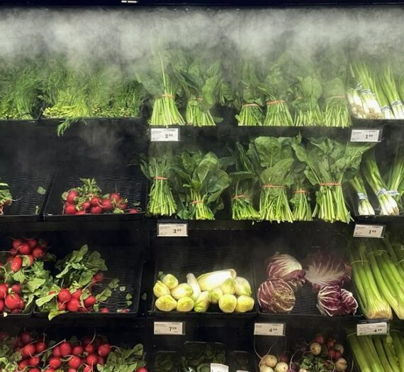 Le PDG d’une épicerie minimise l’inflation des aliments et affirme que la concurrence est forte au Canada – National | Globalnews.ca